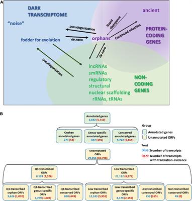 Landscape of the Dark Transcriptome Revealed Through Re-mining Massive RNA-Seq Data